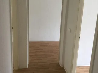 Wohnung Kalkreuther Straße in Dresden