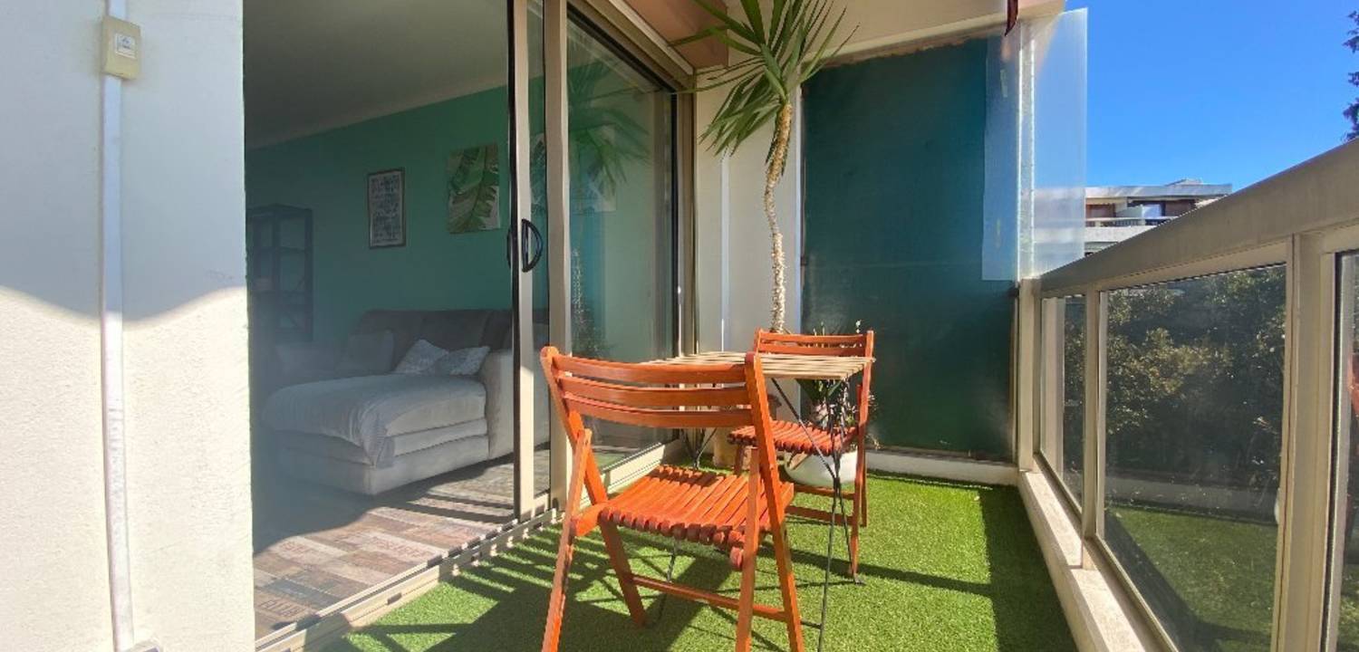 Flat Avenue Gravier in Nice