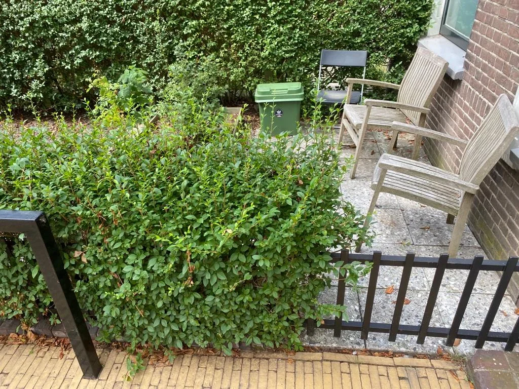 Appartement Broekstraat 6