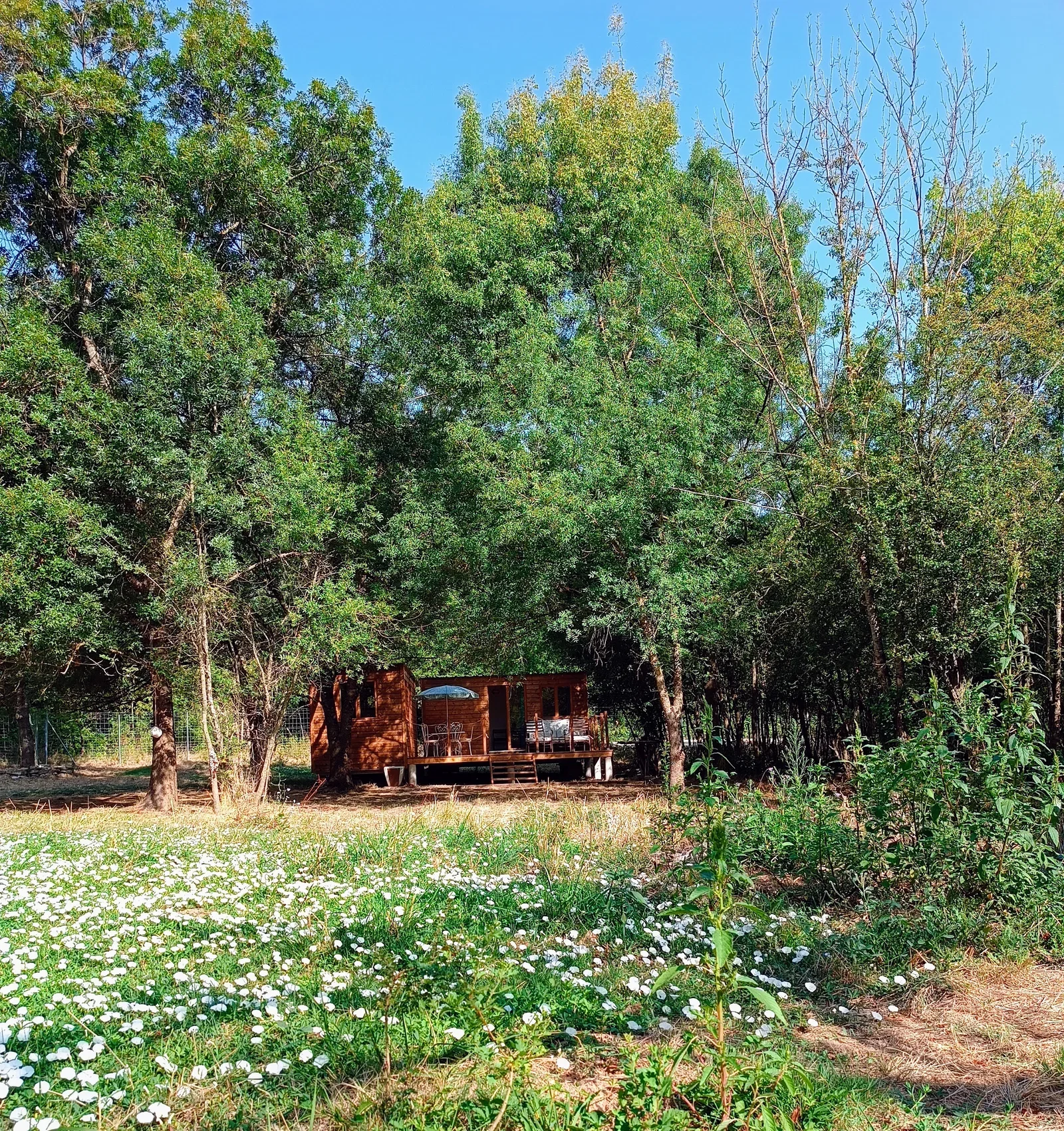 Chambre Vieux Chemin de Poujols à Lodève