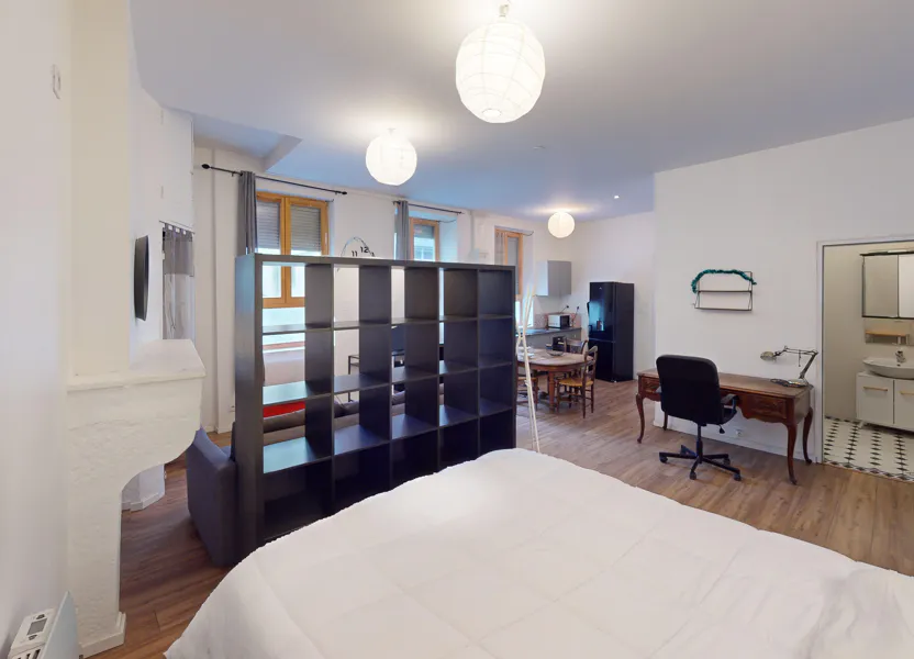 Appartement Rue Michel Servet à Saint-Étienne