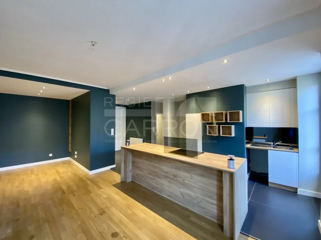 Appartement Rue Raulin à Lyon