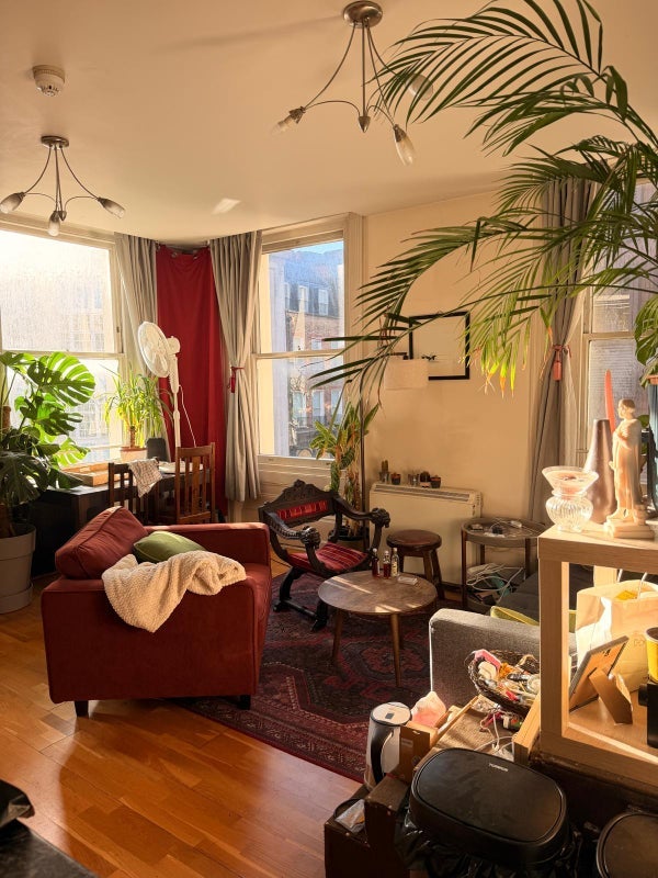 Room Stafford Street in City of Westminster