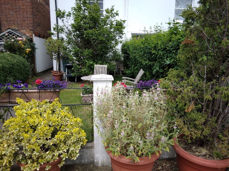 Room Brook Street in Windsor
