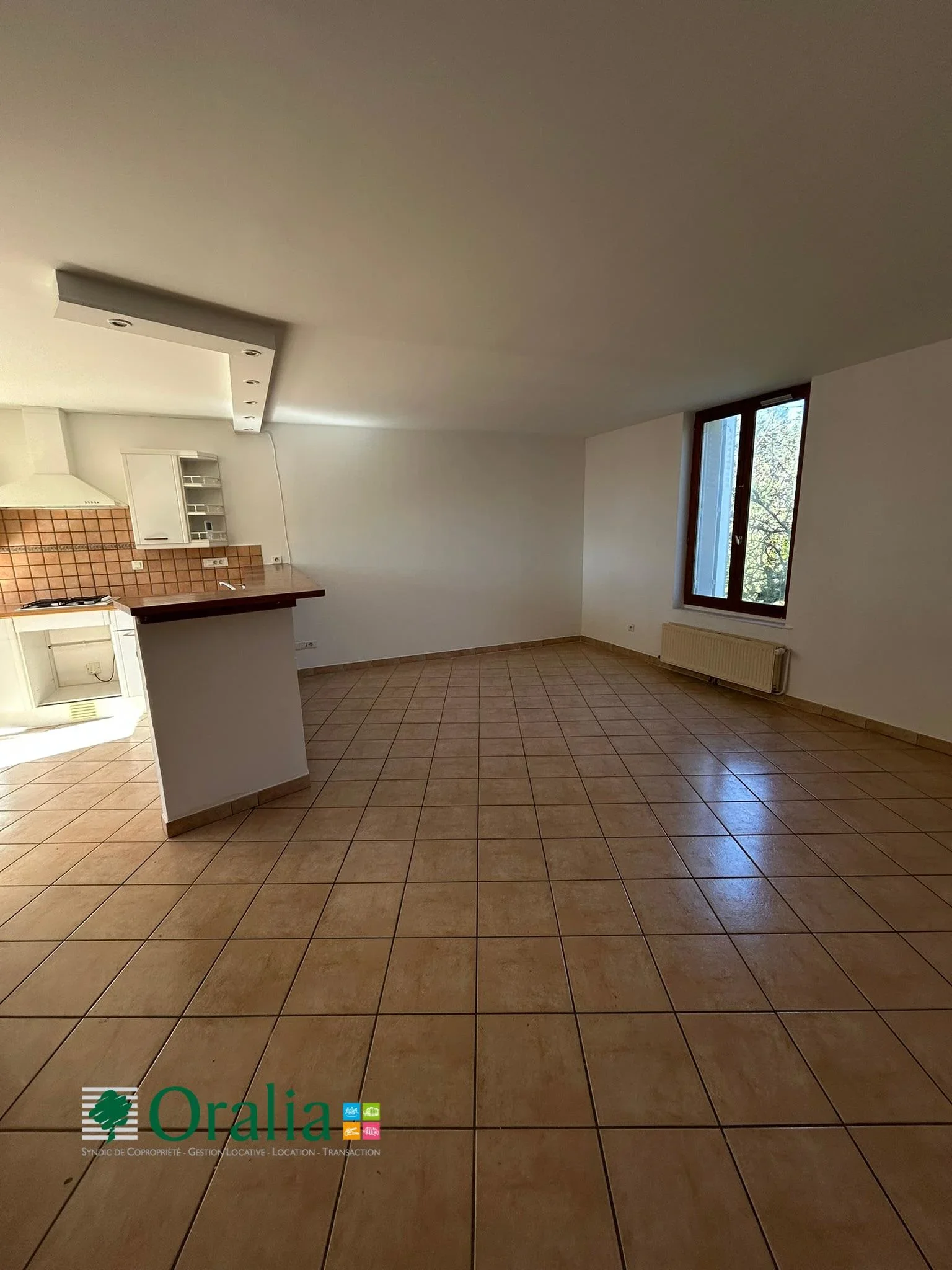 Appartement Avenue Gambetta à Saint-Cyr-au-Mont-d'Or