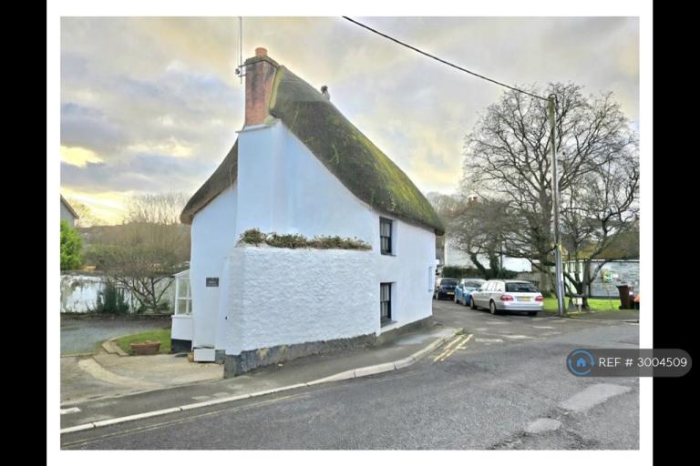 House The Leat in Stratton