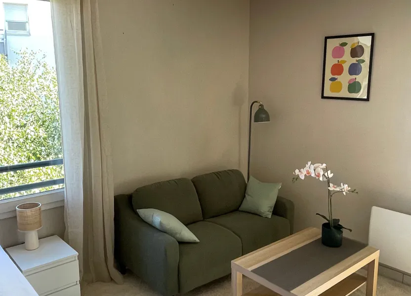 Flat Rue Sergent Michel Berthet in Lyon