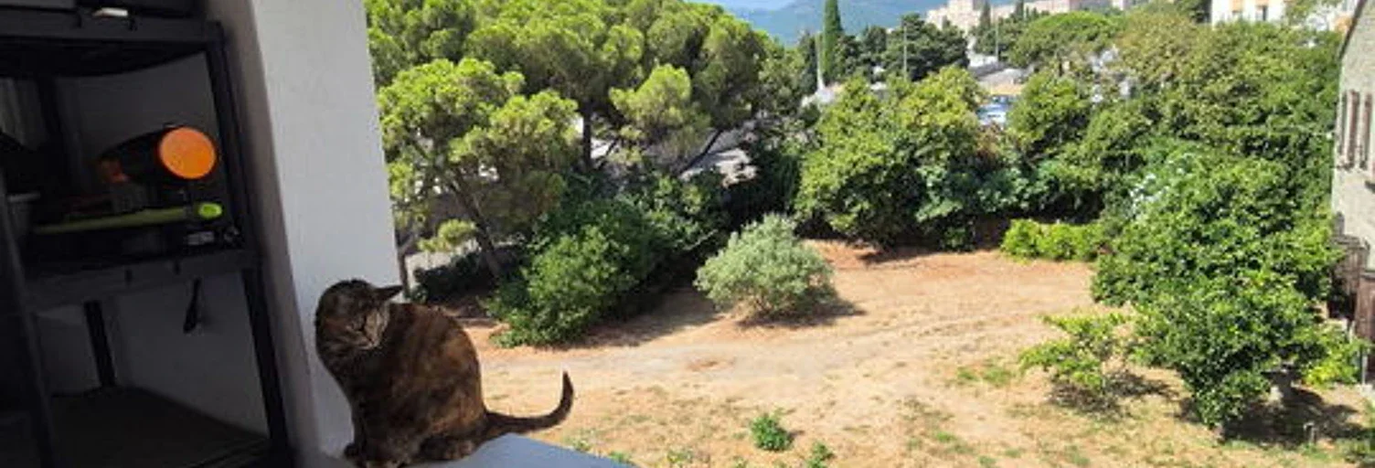 Appartement Route Royale à Bastia