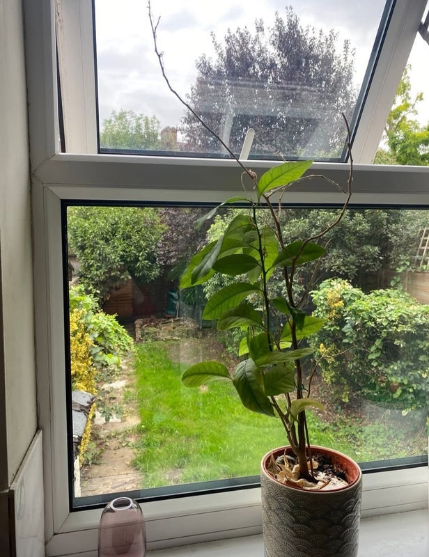 Room Bourne Road in Greater London