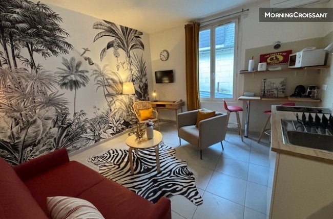 Flat Place Gaston Paillhou in Tours