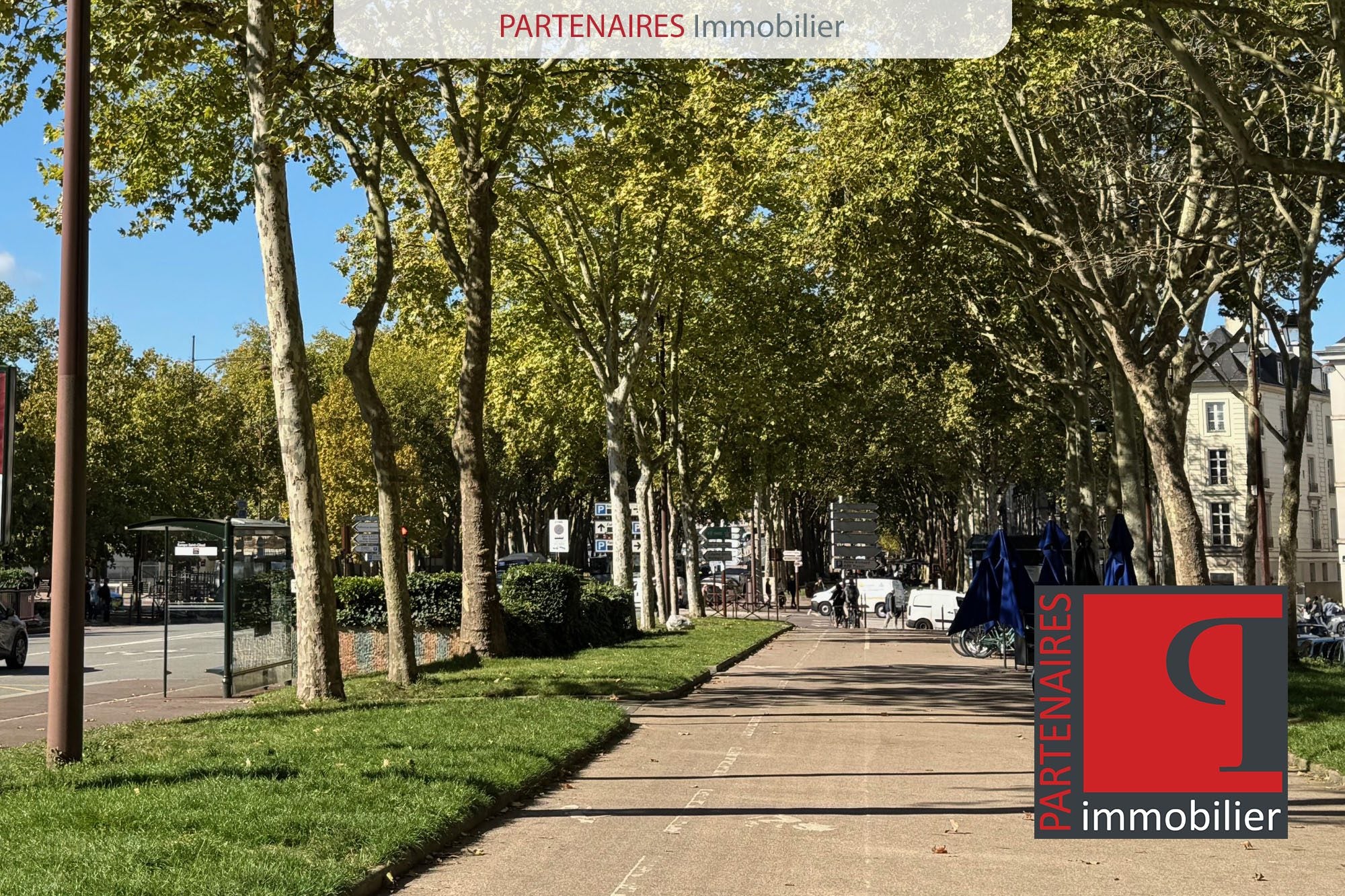 Flat Avenue de Saint-Cloud in Versailles