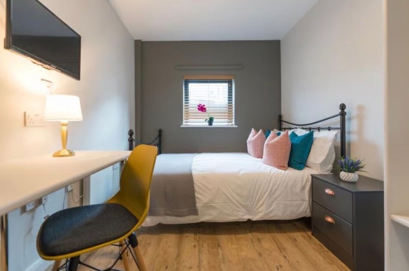 Room Falconar Street in Newcastle upon Tyne