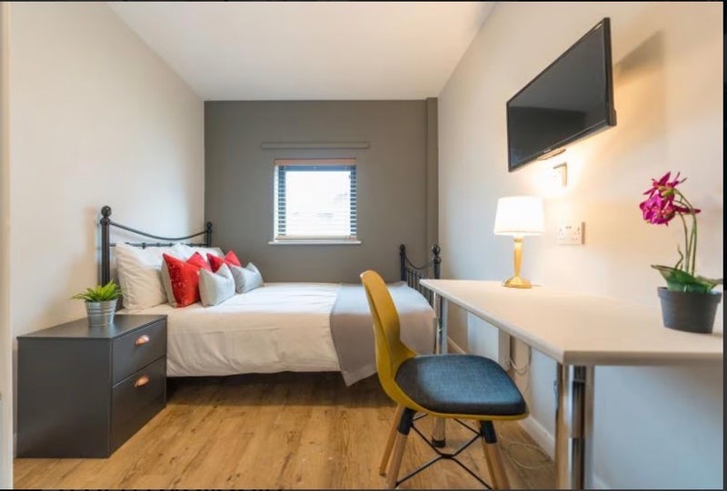 Room Falconar Street in Newcastle upon Tyne