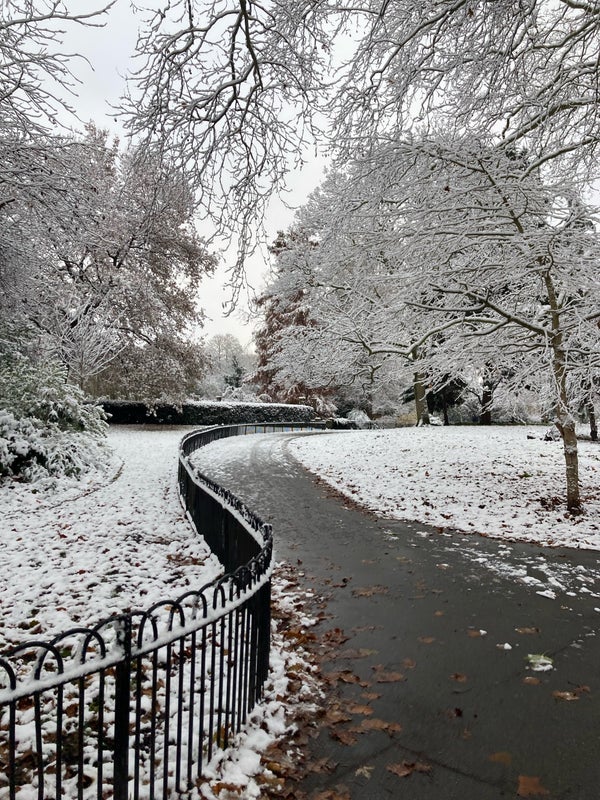Room Southwark Park Road in Greater London