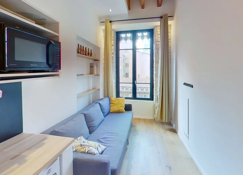 Chambre Rue Pléney à Lyon