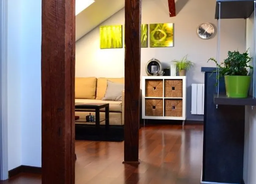 Appartement Allée des Platanes à Strasbourg