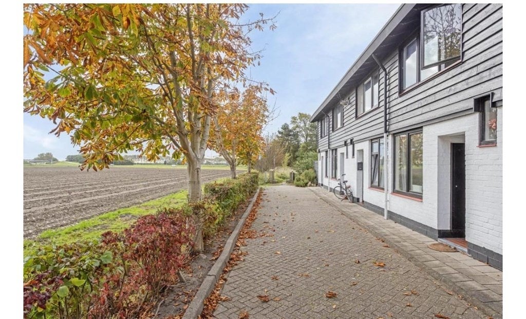 Koningspleisterplaats