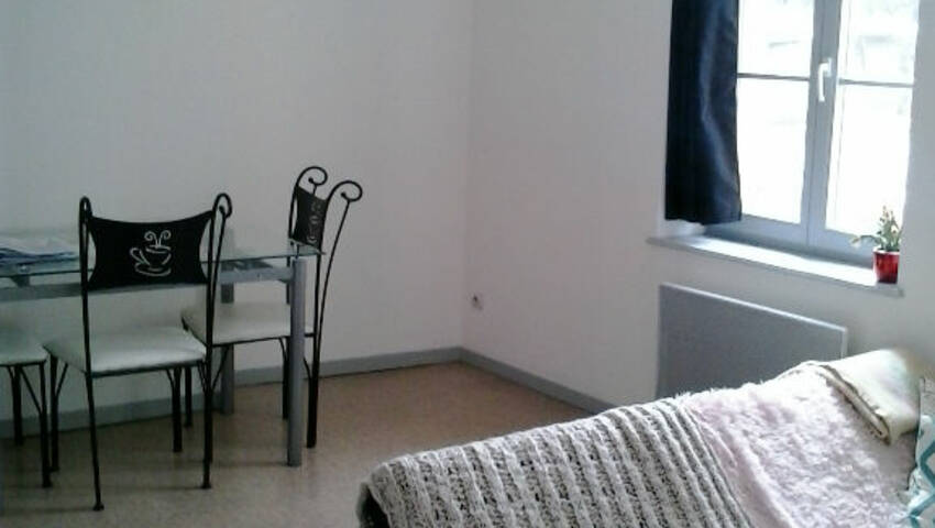 Appartement Rue aux Arènes à Metz