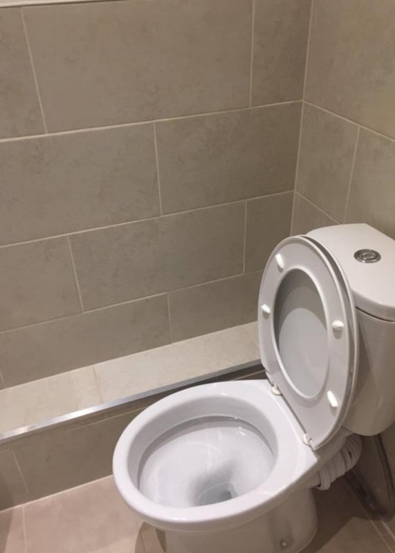 Room Trebovir Road in Greater London