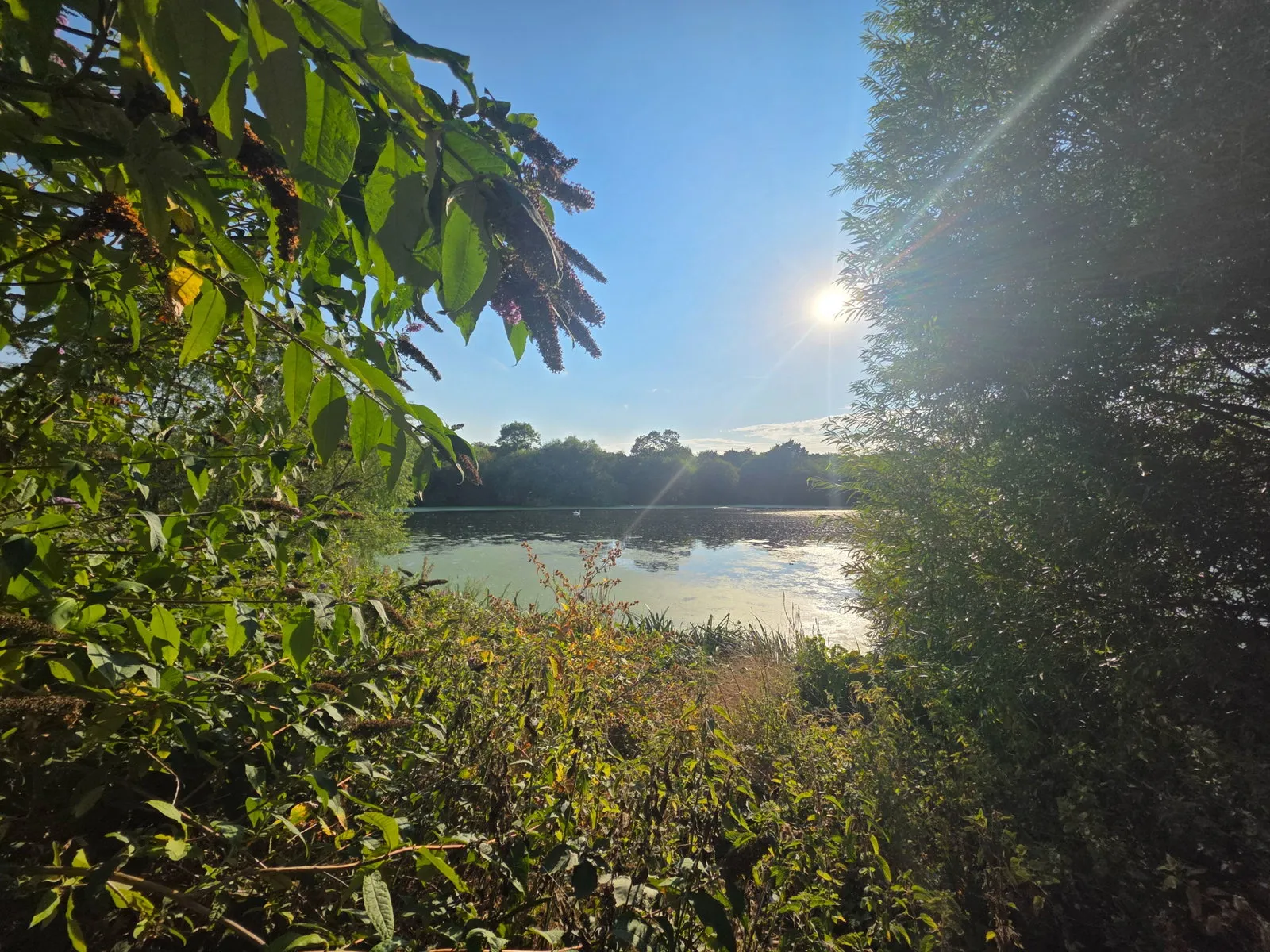 Flat Moorhen Drive in Greater London