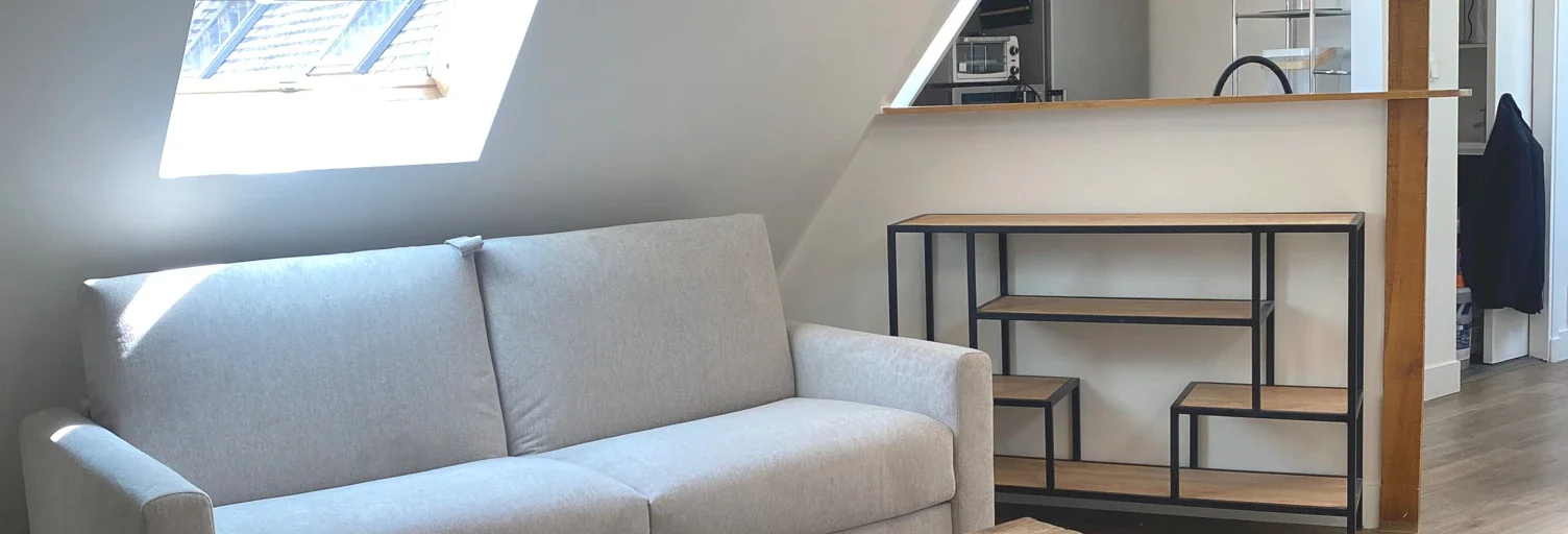 Appartement Rue du Faubourg Saint-Honoré à Paris