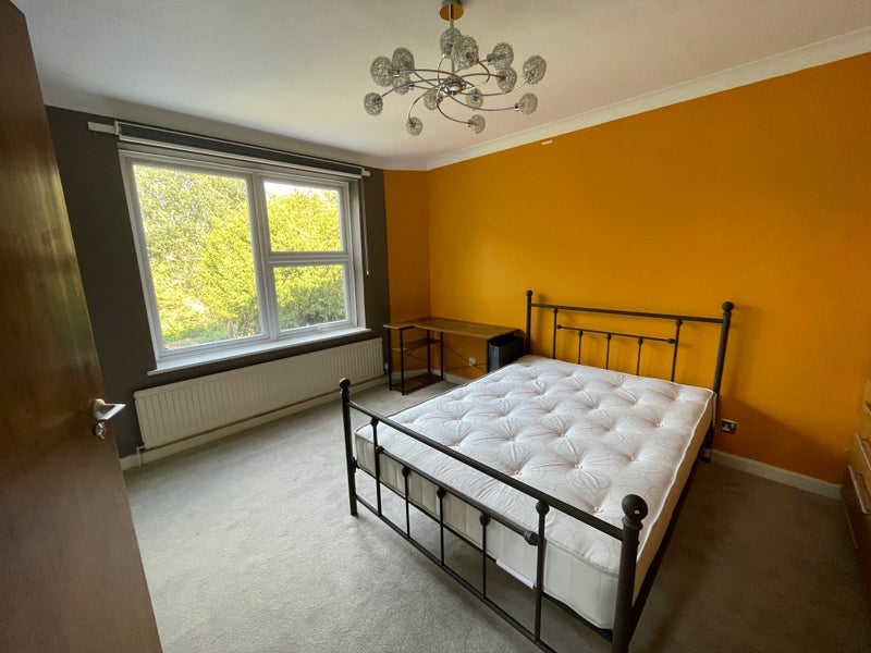Room Parklands Drive in Chelmsford