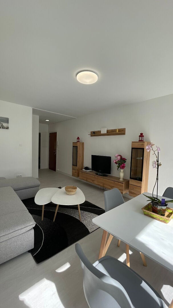 Appartement Avenue des Lilas à Pau