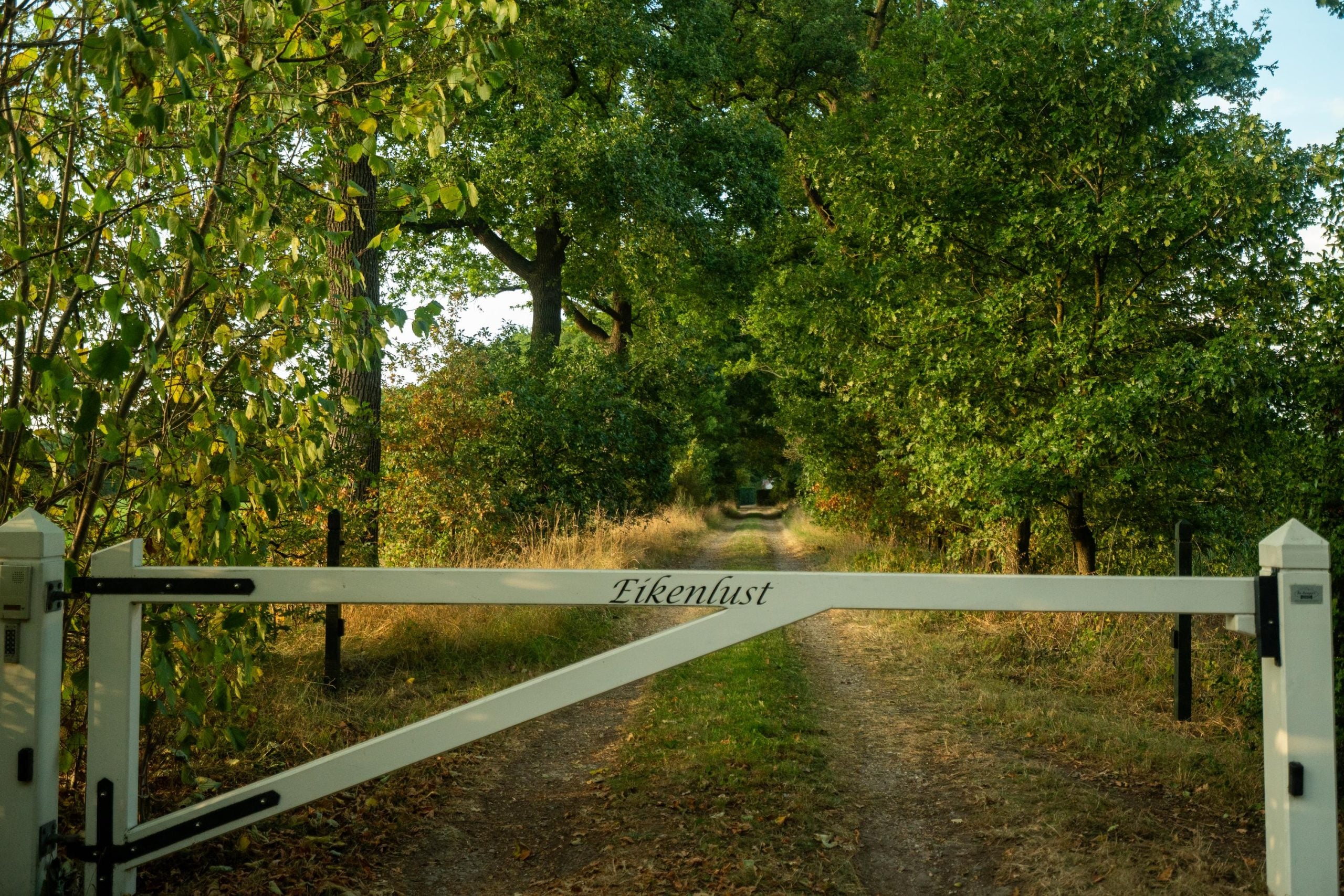Vrijstaande woning te koop: Loofaert 1, Berlicum