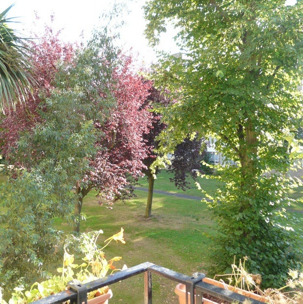 Flat Tildesley Road in Greater London
