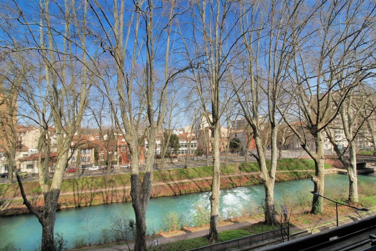 Appartement Allée de Brienne à Toulouse