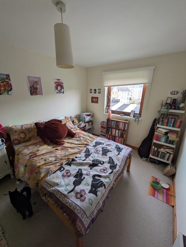 Room Timber Bush in City of Edinburgh