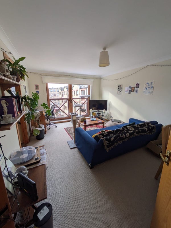 Room Timber Bush in City of Edinburgh