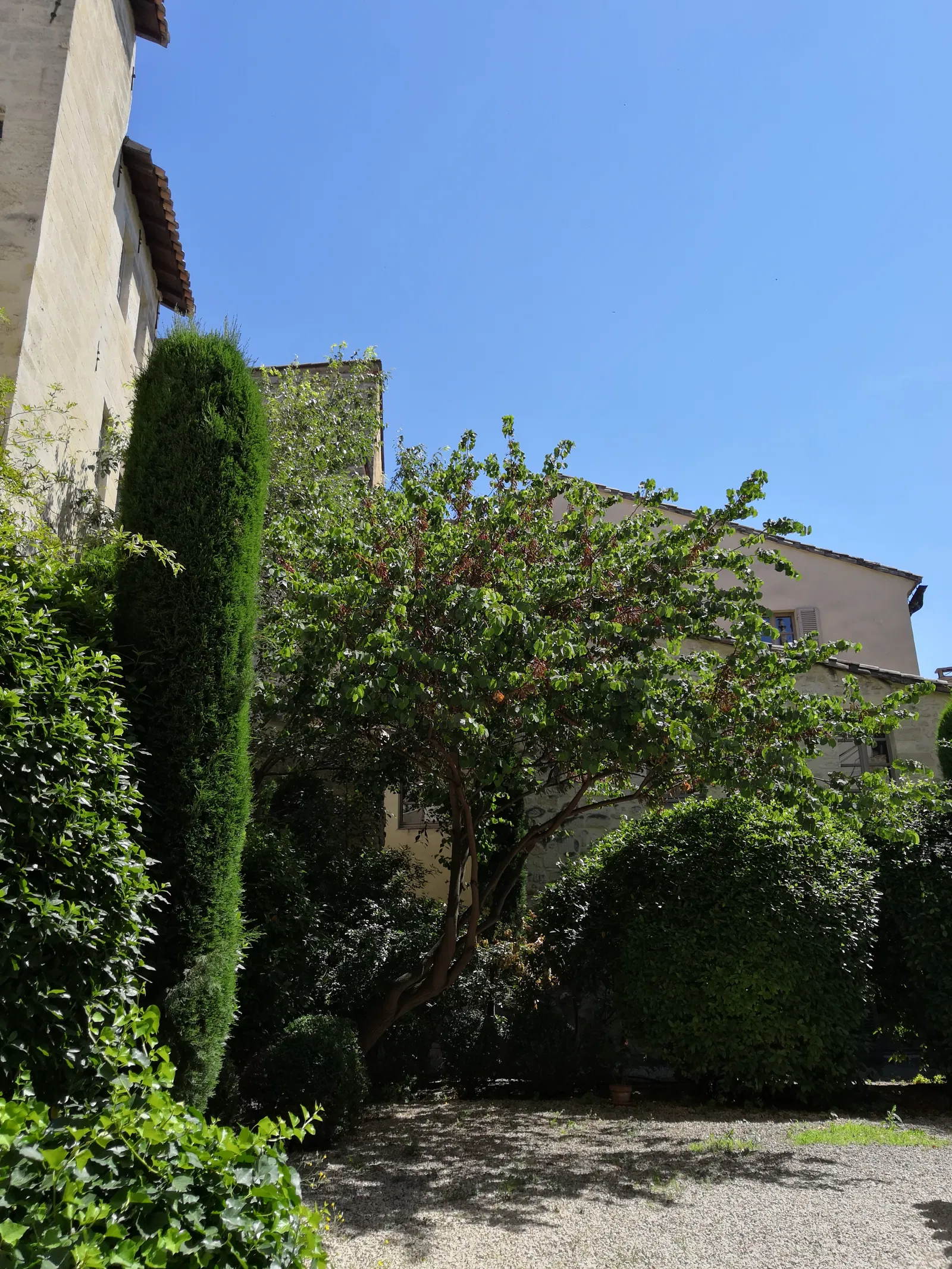 Room Rue Rateau in Avignon