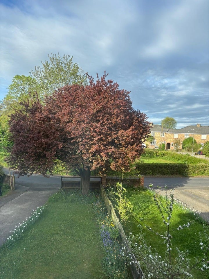 House The Moorlands in Durham