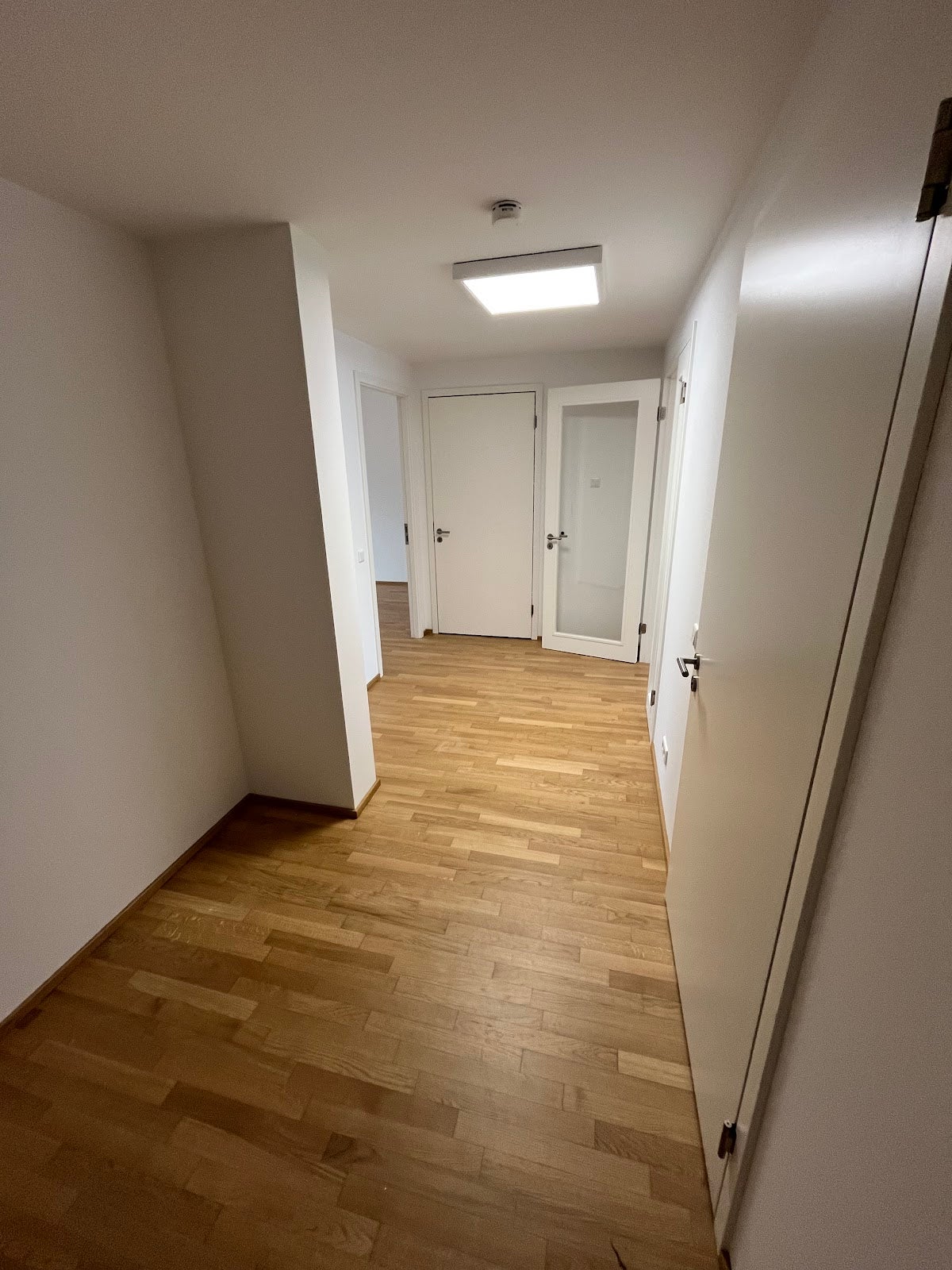 Wohnung Pauline-Staegemann-Straße in Berlin