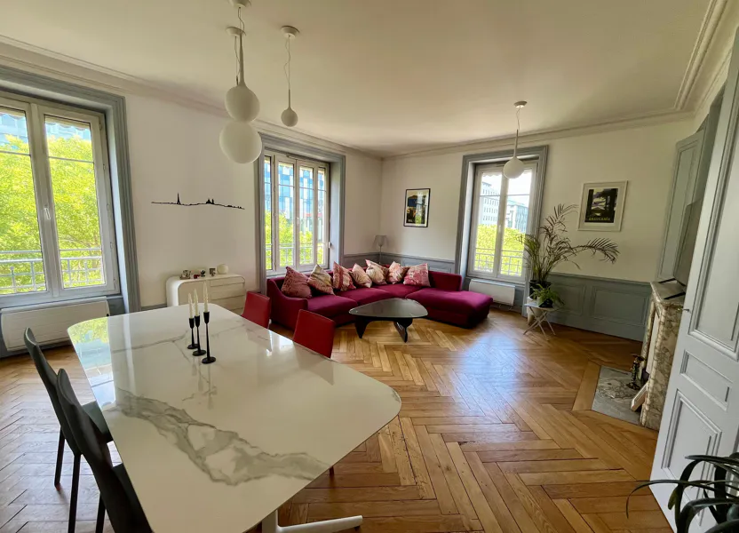 Flat Avenue Thiers in Lyon