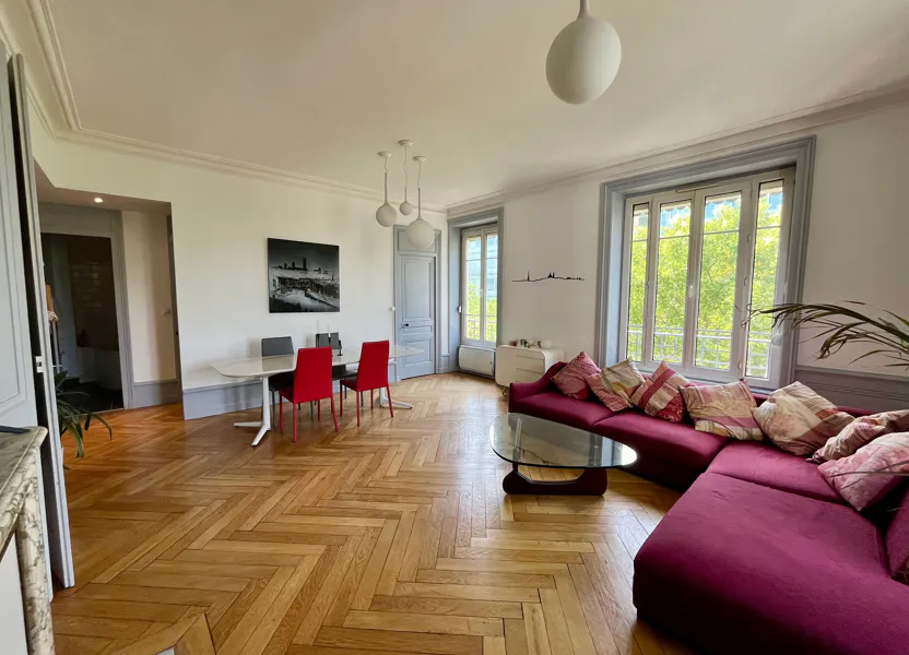 Flat Avenue Thiers in Lyon