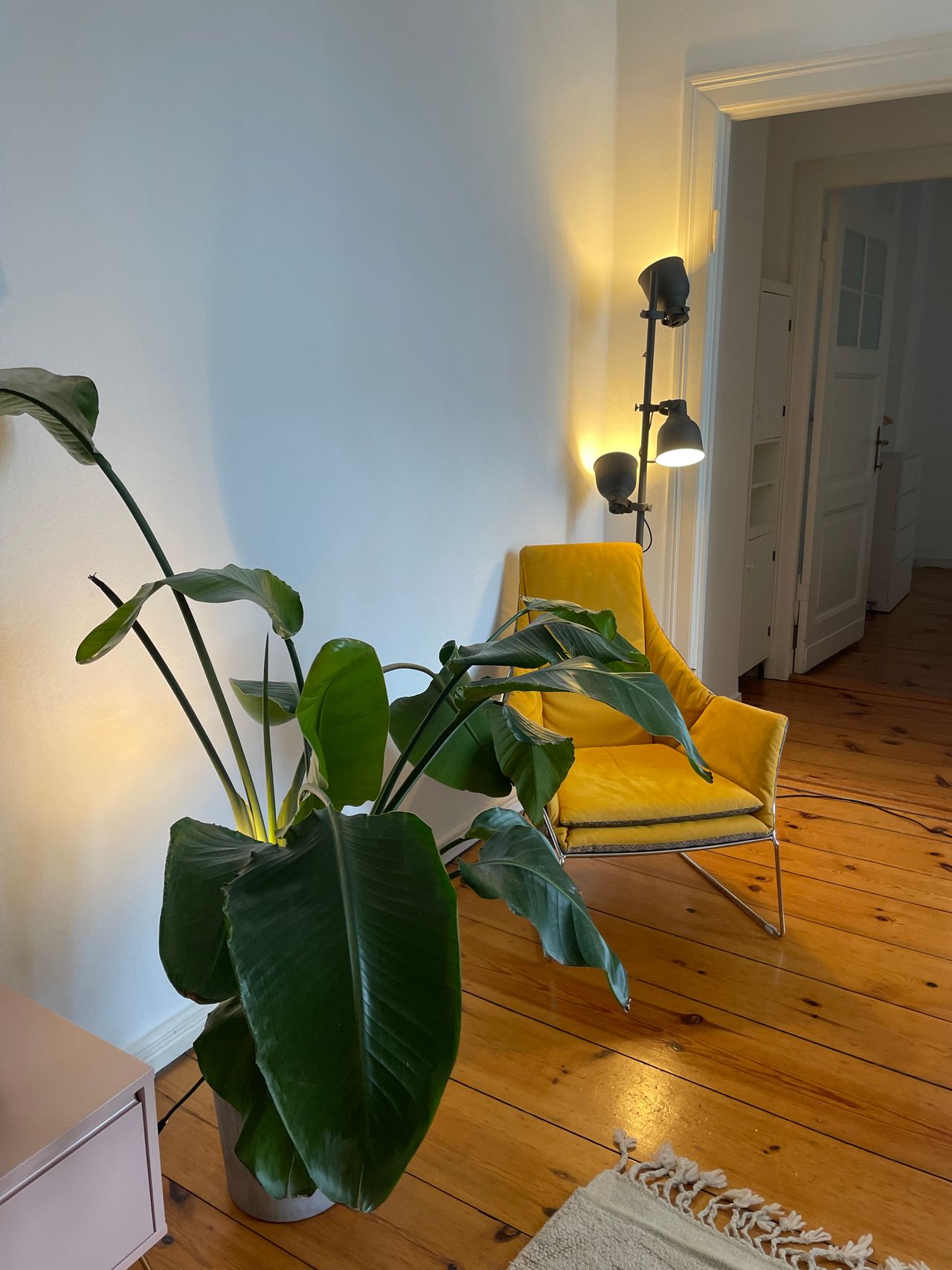 Wohnung Waitzstraße in Berlin
