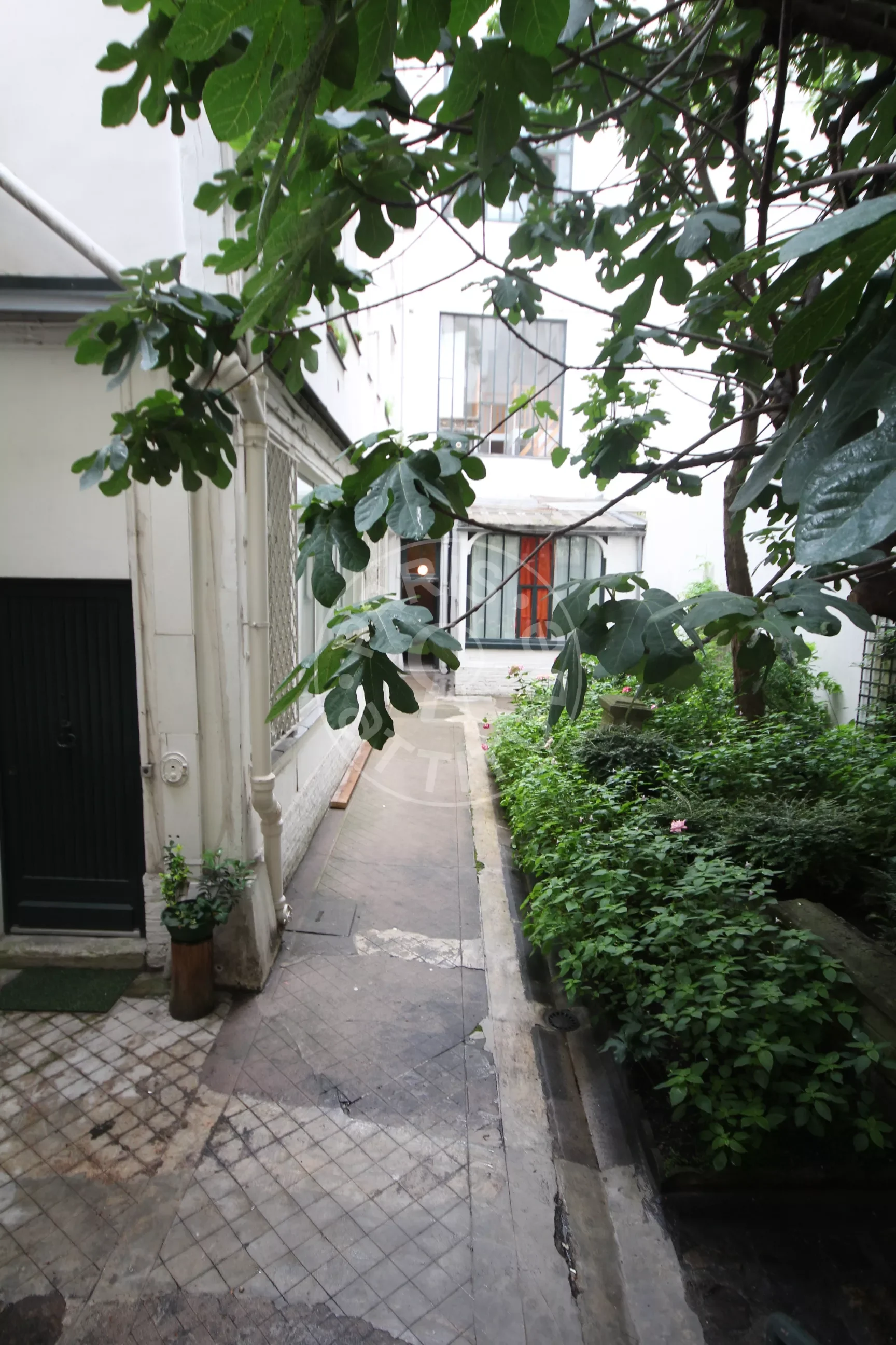 Flat Rue de la Grande Chaumière in Paris