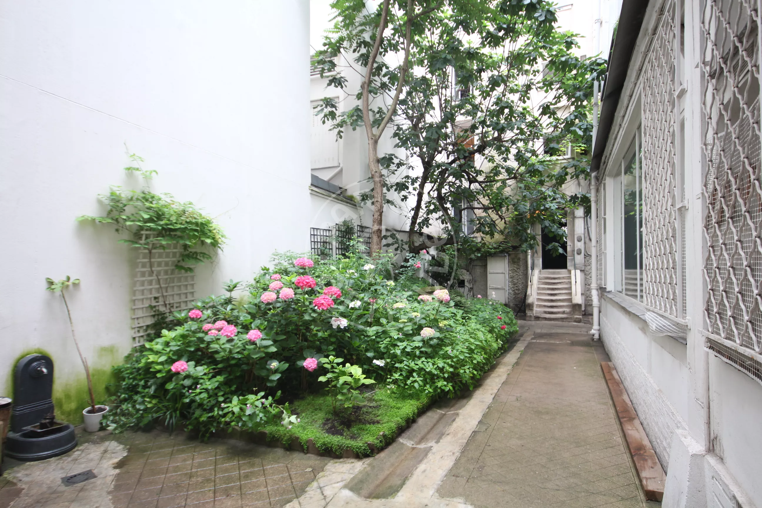 Flat Rue de la Grande Chaumière in Paris