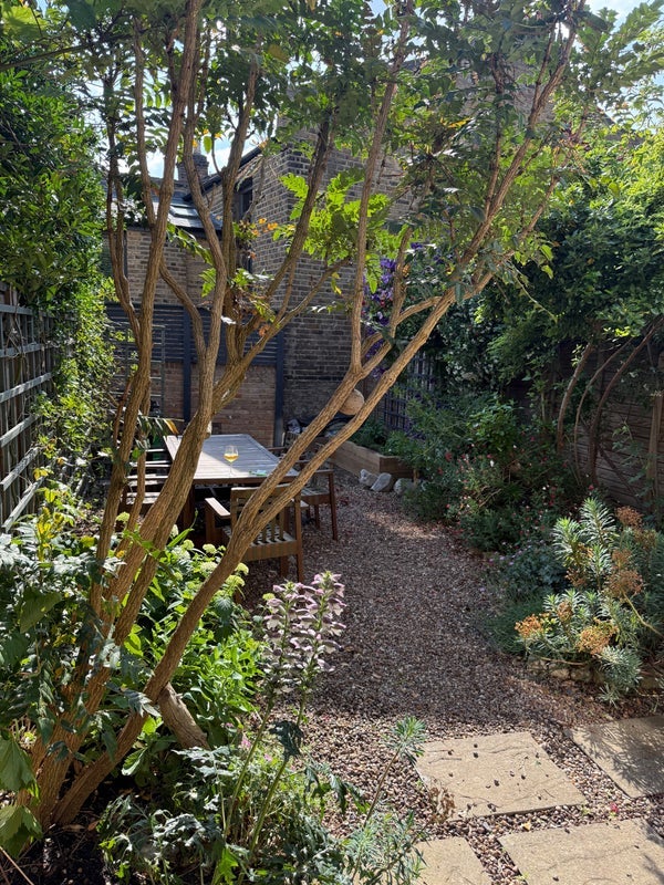 Flat Birkbeck Hill in Greater London