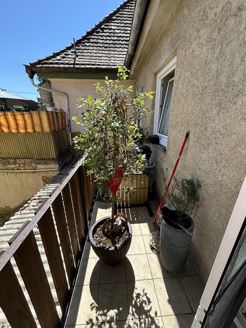 Wohnung Herzog-Georg-Straße in Lauingen (Donau)