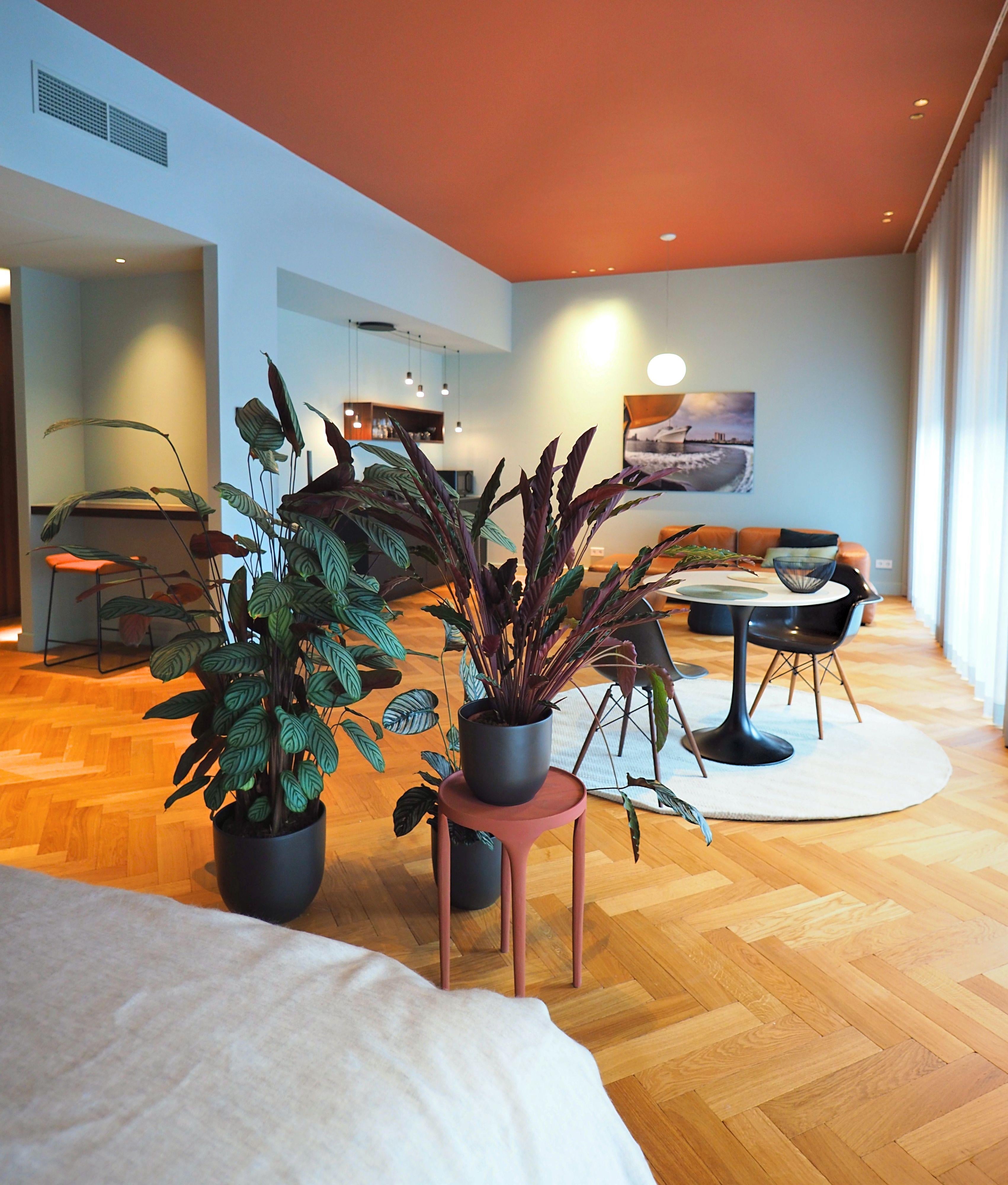 Appartement Van Vollenhovenstraat 38 in Rotterdam