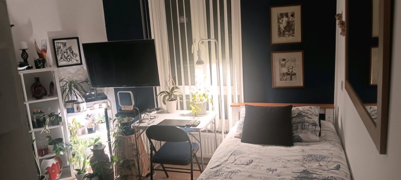 Room Haselrigge Road in Greater London