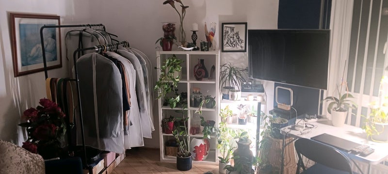 Room Haselrigge Road in Greater London