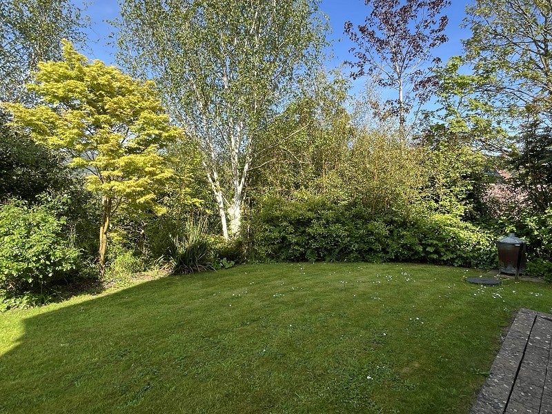 Room Combe Lane in Weare