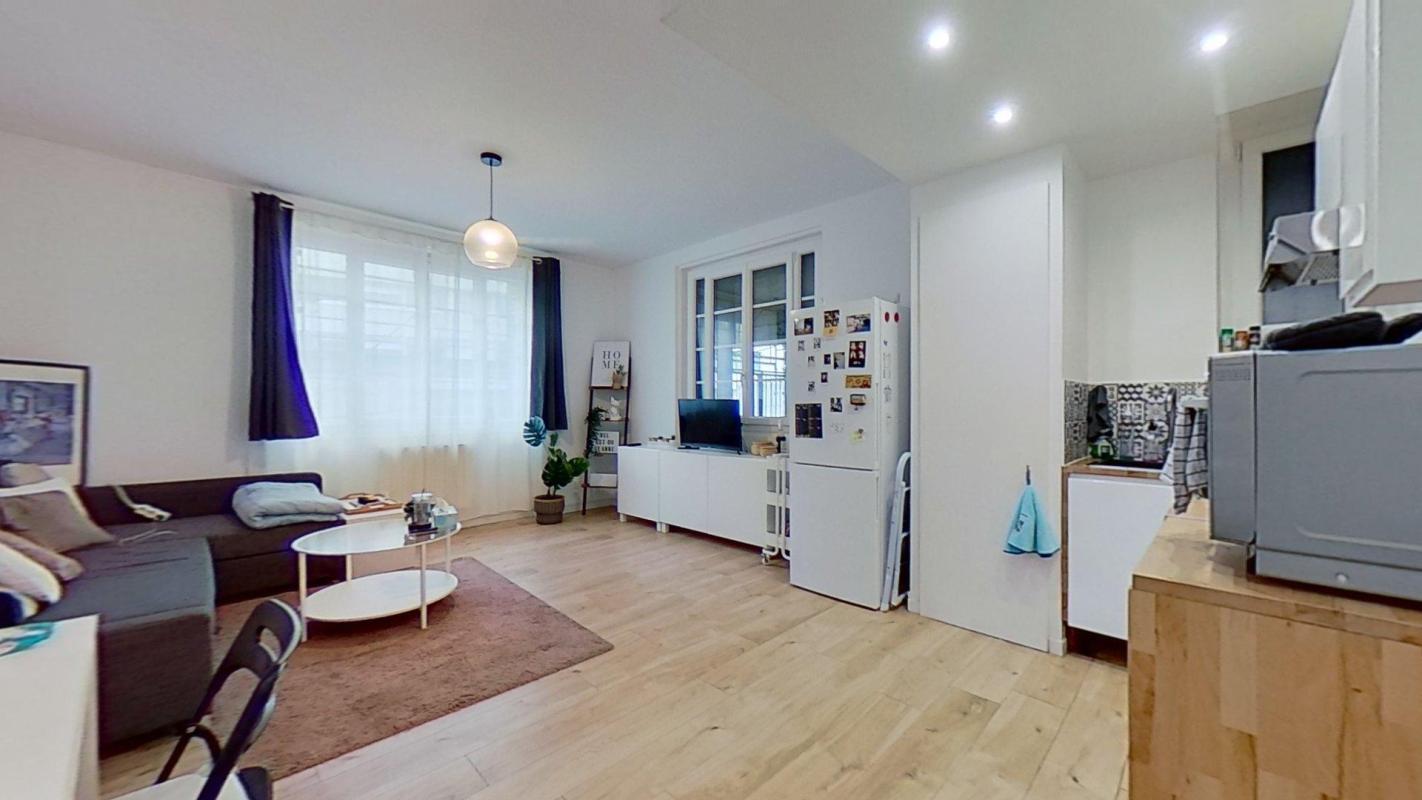 Appartement Rue du Professeur Paul Sisley à Lyon