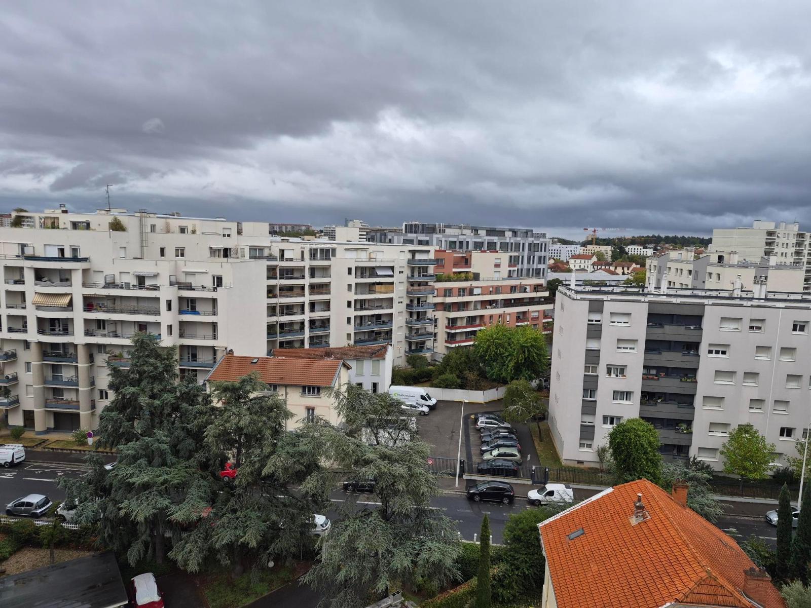Appartement Avenue Paul Santy à Lyon