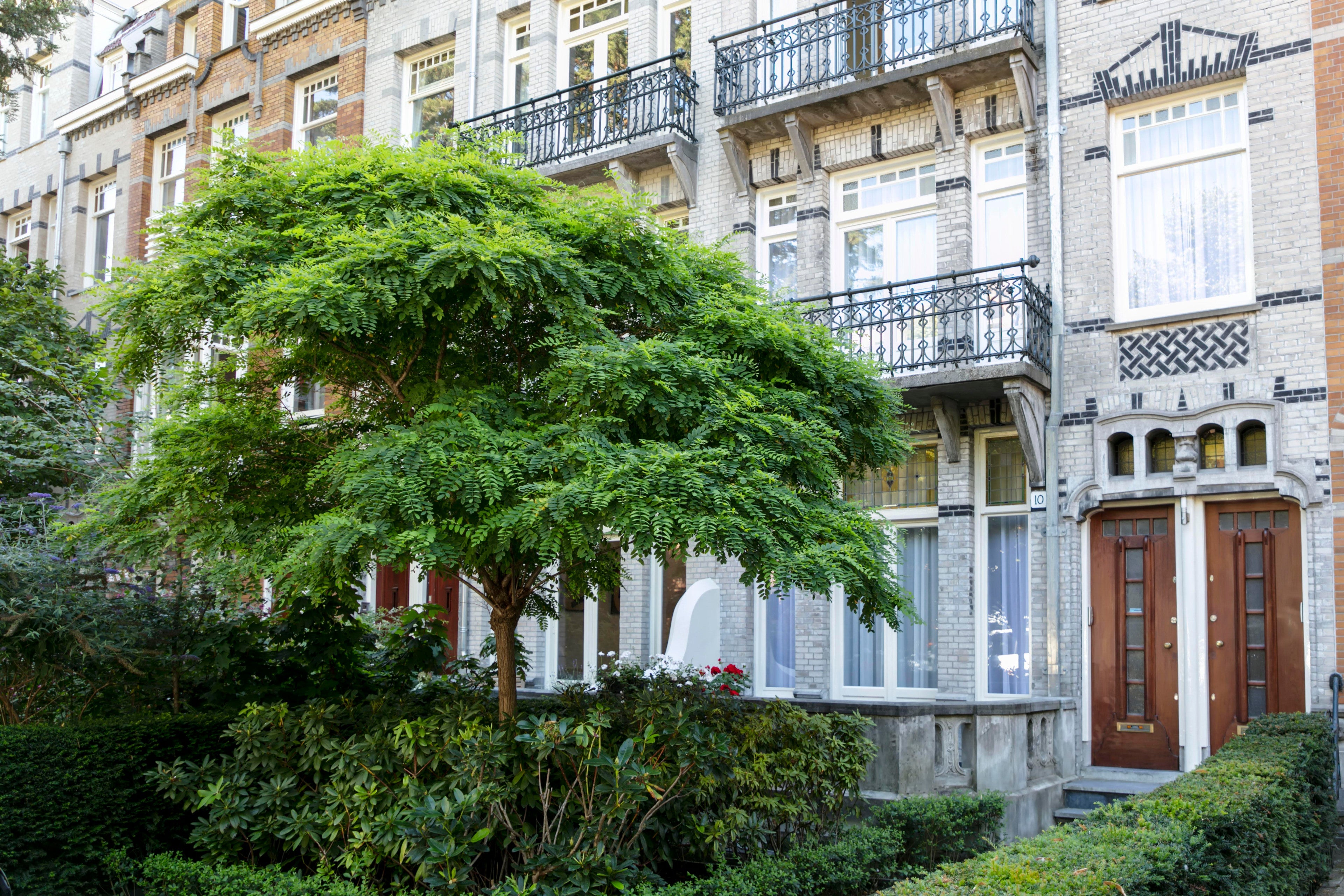 Flat Emmastraat in Amsterdam