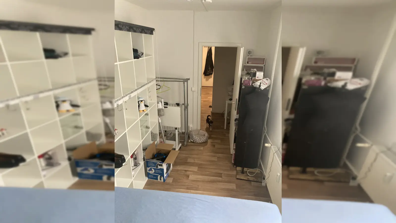 Wohnung Kastanienallee in Berlin